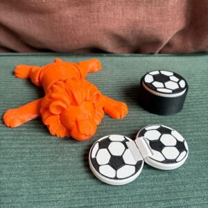 🦁⚽ Hup Holland Hup 🦁⚽